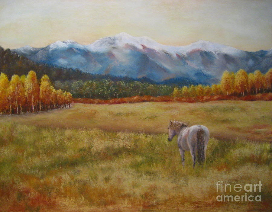 Landscape With Horse Painting By Sabina Haas
