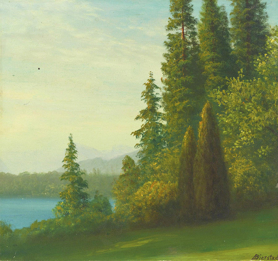 Landscape with Trees and Lake Painting by Albert Bierstadt