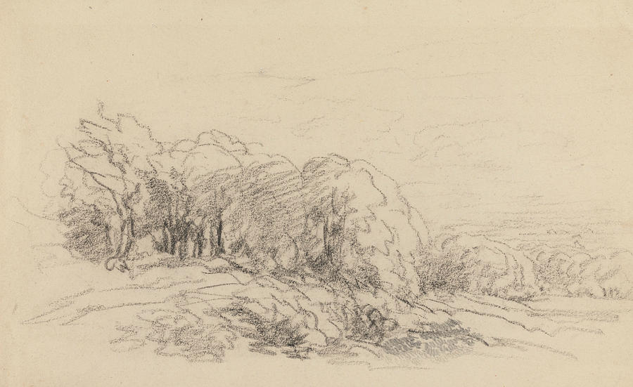 Landscape with Trees Drawing by David Cox