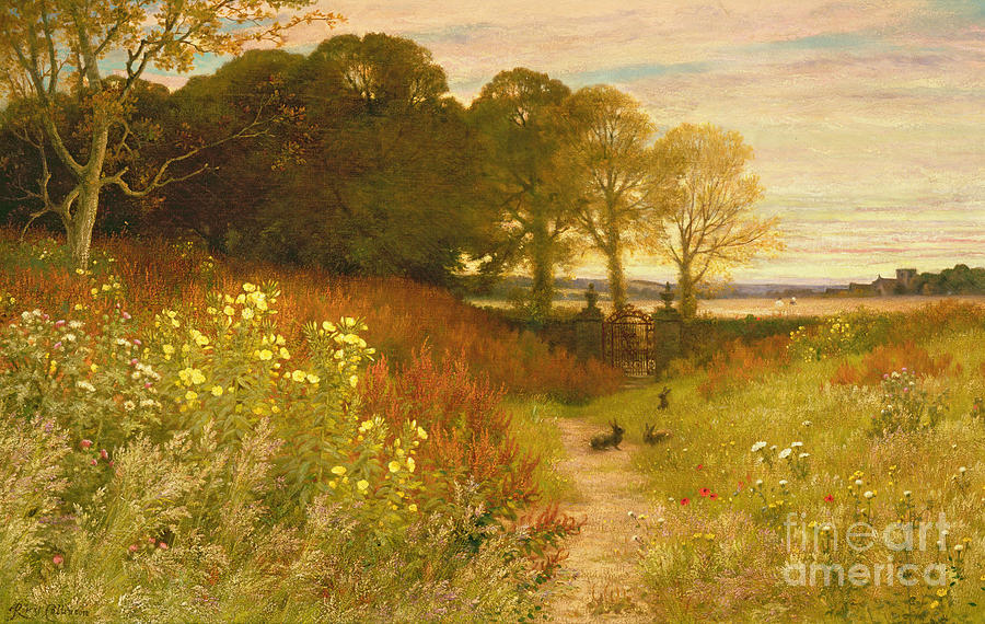 Landscape with Wild Flowers and Rabbits Painting by Robert Collinson