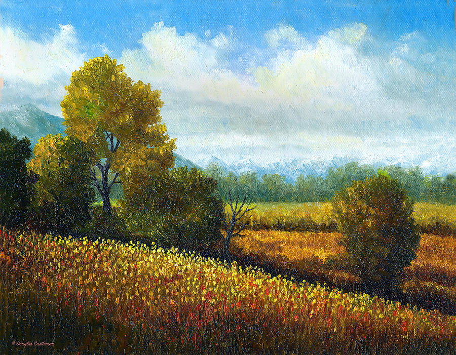 Landscape with Wildflowers 2 Painting by Douglas Castleman