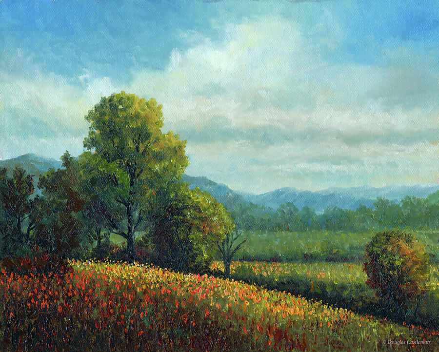 Landscape with Wildflowers Painting by Douglas Castleman