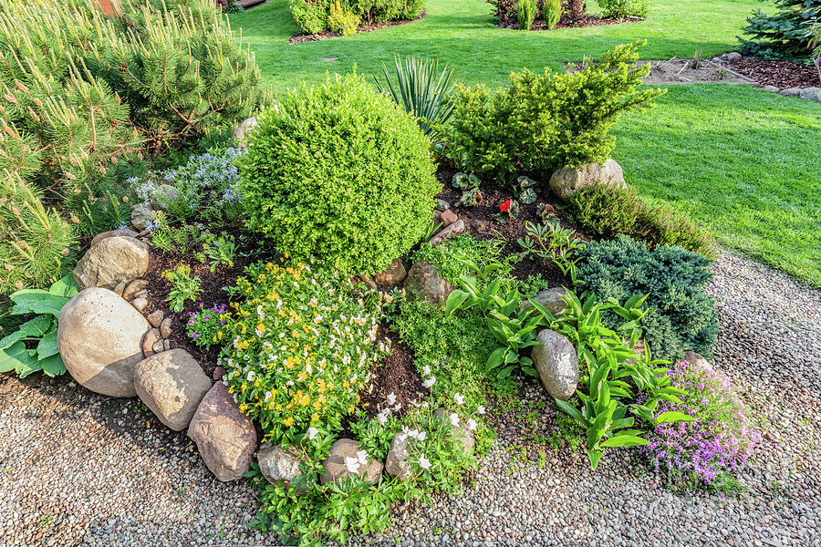 Landscaped Summer Garden With Green Plants, Rocks, Flowers In Flowerbeds, Mown Grass. Photograph