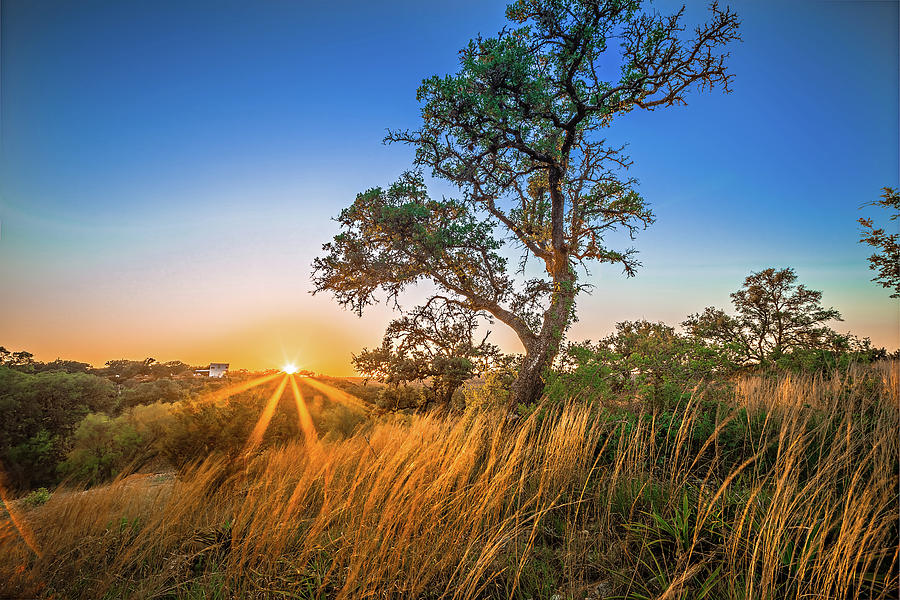 Landscapes Around Willow City Loop Texas At Sunset Photograph by Alex Grichenko