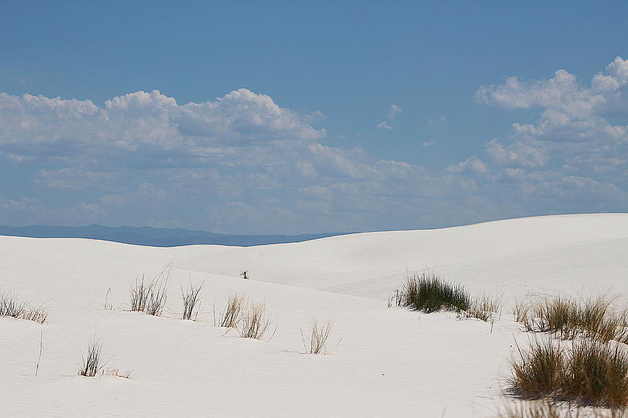 Landscapes of White Sands 10 Photograph by Colleen Cornelius