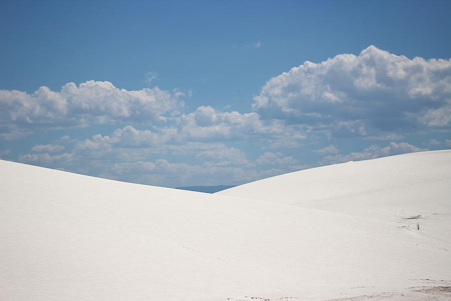 Landscapes of White Sands 11 Photograph by Colleen Cornelius