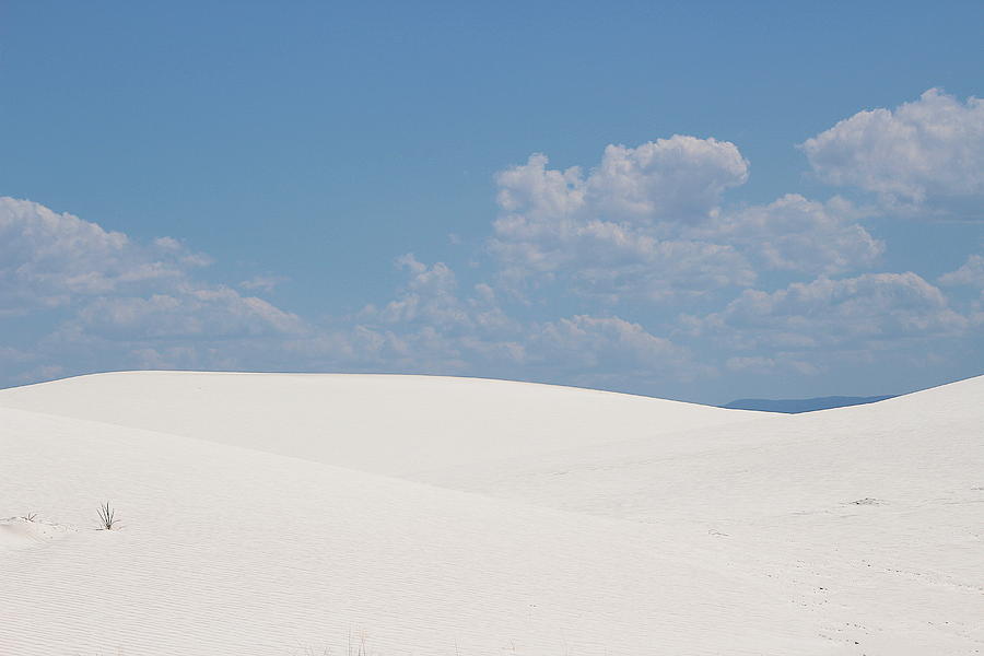 Landscapes of White Sands 12 Photograph by Colleen Cornelius