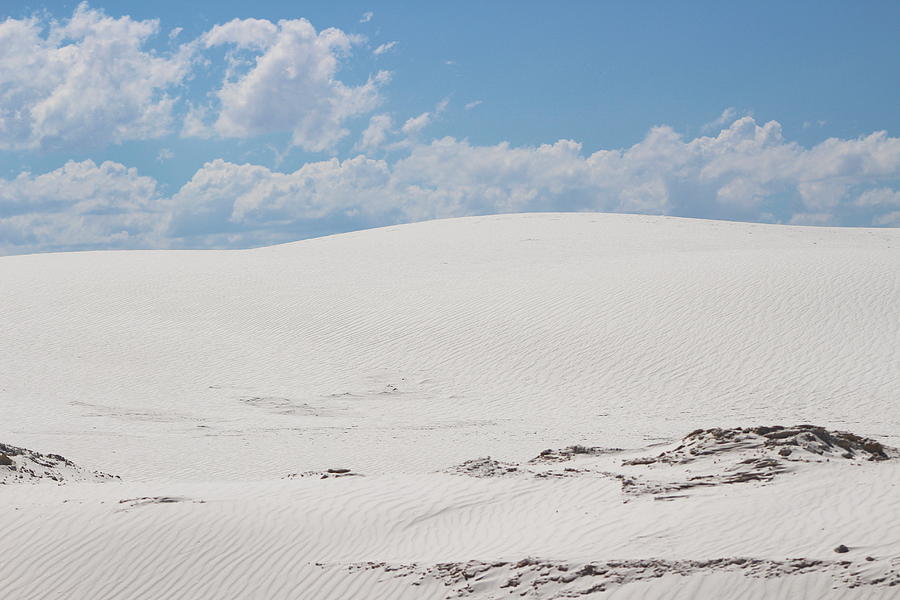 Landscapes of White Sands 2 Photograph by Colleen Cornelius