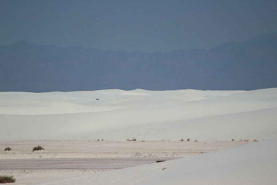 Landscapes of White Sands 7 Photograph by Colleen Cornelius