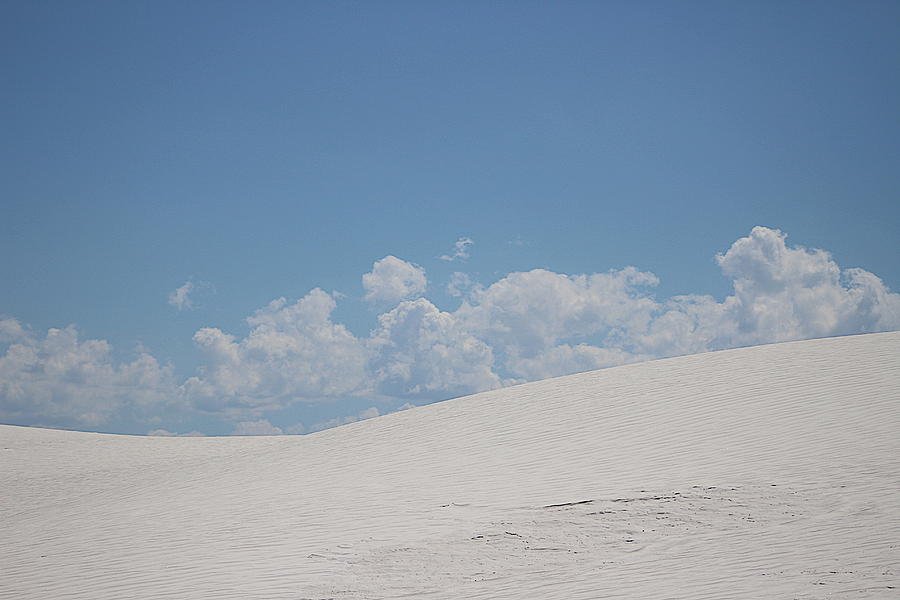 Landscapes of White Sands 8 Photograph by Colleen Cornelius