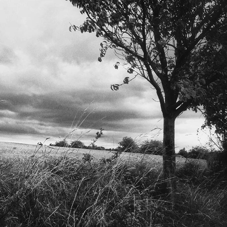 Landscape Photograph - Landschaft Ist Auch Da - by Mandy Tabatt