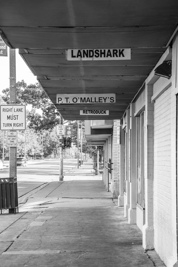 Landshark and PT Omalleys  Photograph by John McGraw