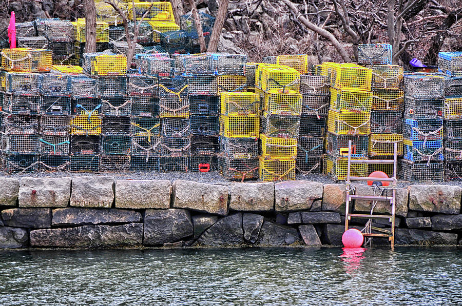 Lanes Cove Lobster Traps Photograph by Mike Martin