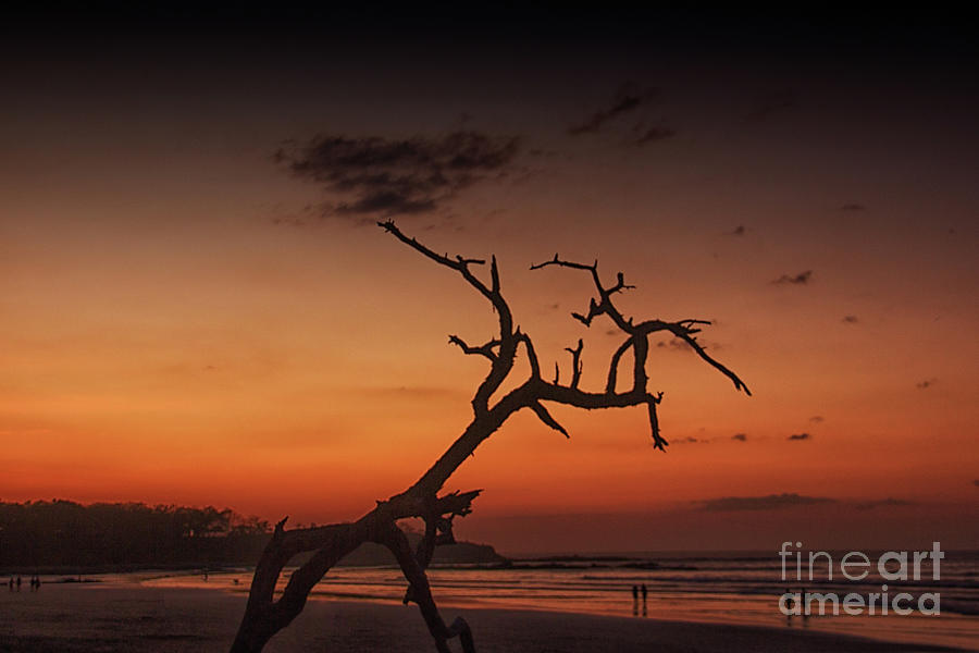 Langosta Beach at Sunset Photograph by Bob Hislop