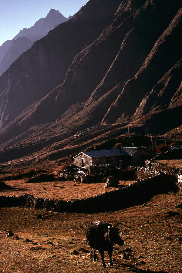 Mountain Photograph - Langtang Village by Patrick Klauss