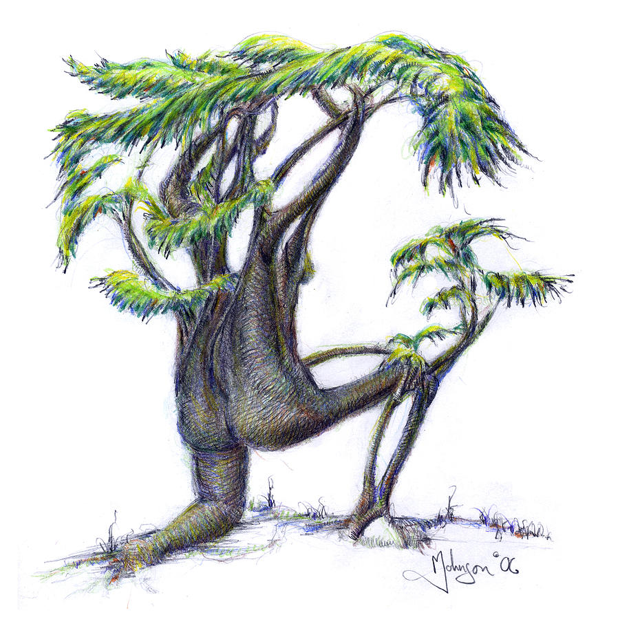 Languid Tree Dancer II Drawing by Mark Johnson