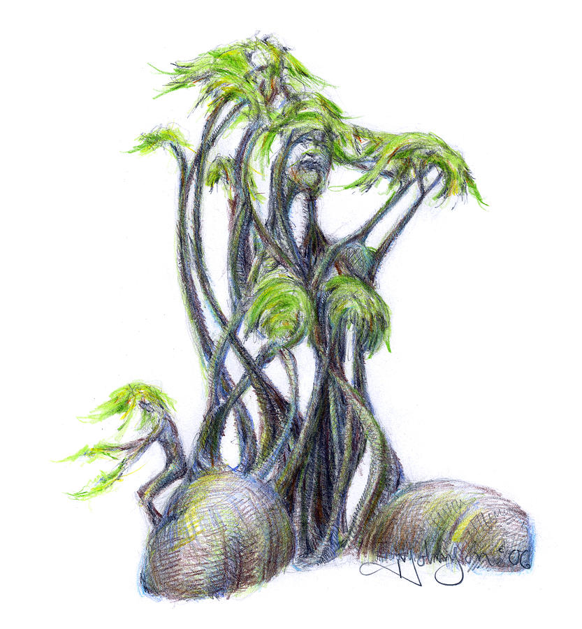 Languid Tree Dancer III Drawing by Mark Johnson