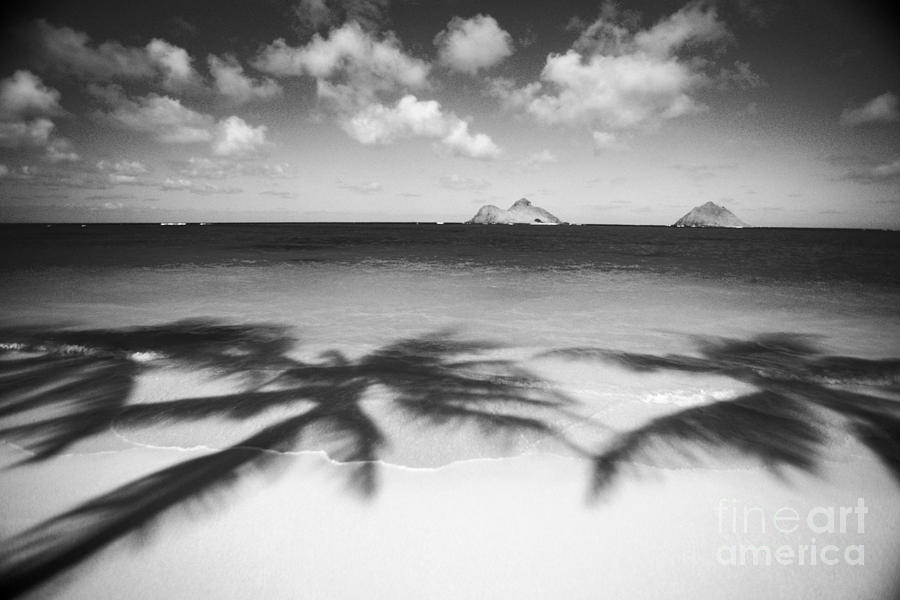 Paradise Photograph - Lanikai Beach - BW by Dana Edmunds - Printscapes