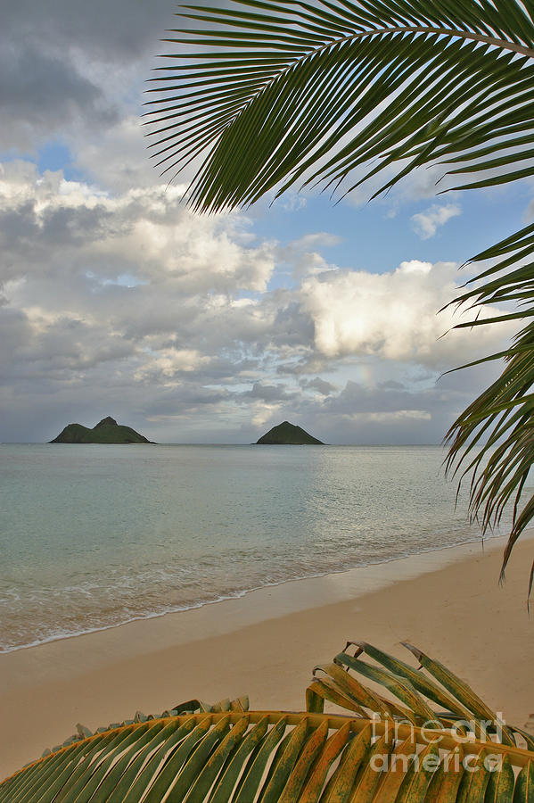 Lanikai Late Afternoon Photograph by Tomas del Amo - Printscapes