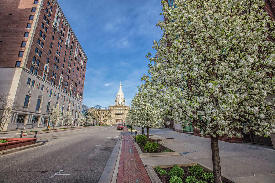 Lansing Michigan Spring and Capital Photograph by John McGraw