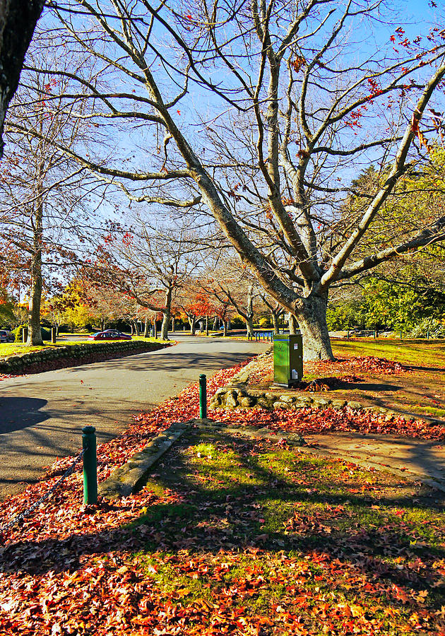 Lanst days of Autumn Photograph by Kenneth William Caleno - Fine Art ...