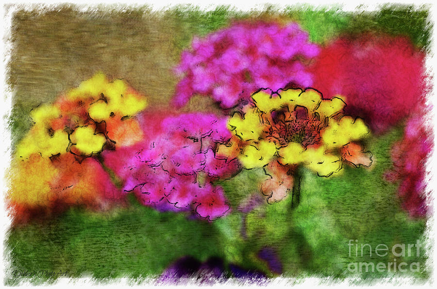 Lantana close view 4 with digital effect Photograph by Debbie Portwood