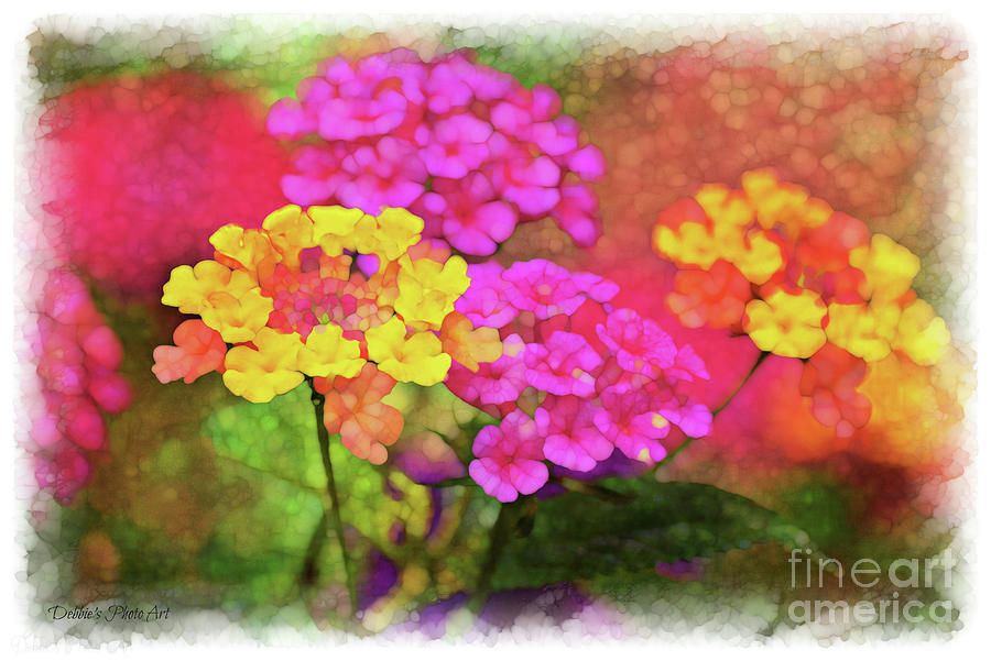 Lantana close view 5 with digital effect Photograph by Debbie Portwood