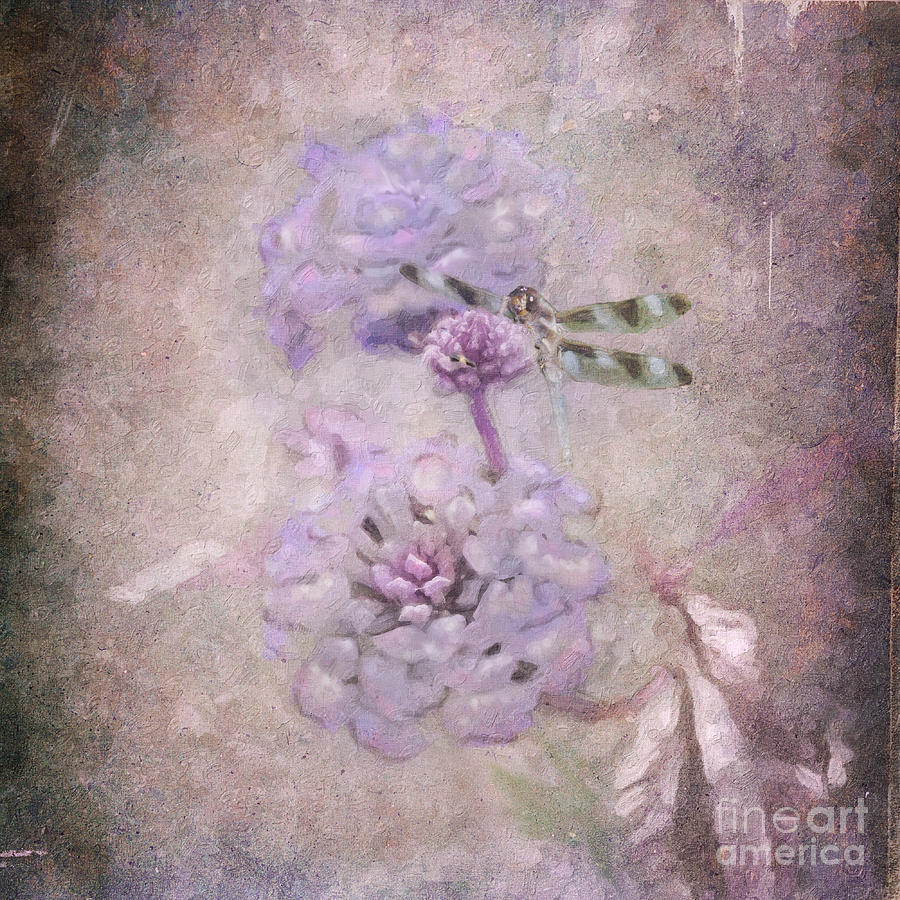 Flower Photograph - Lantana in Purple by Betty LaRue