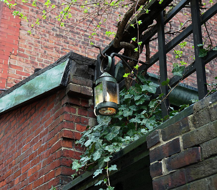 Lantern Photograph by Christopher Brown