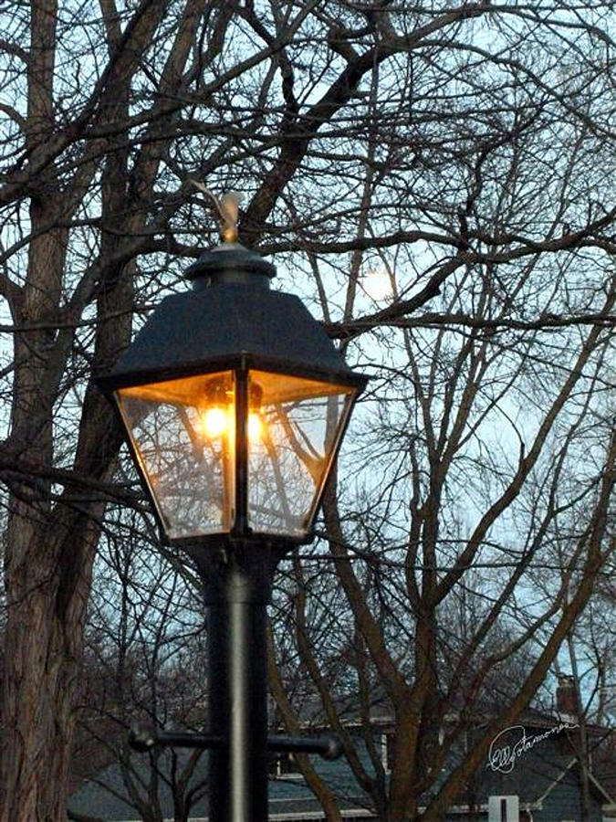 Lantern Photograph by Elly Potamianos