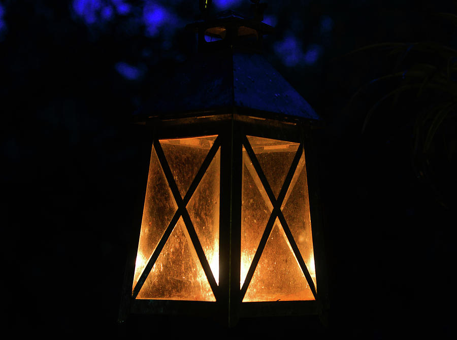 Lantern of light Photograph by David Lee Thompson