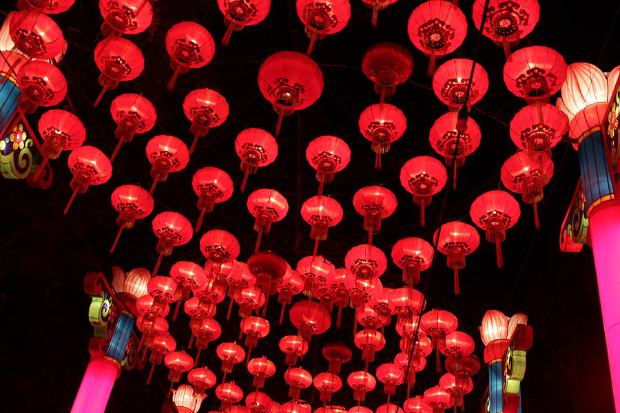 Lanterns Photograph By Samantha Lagreca - Fine Art America