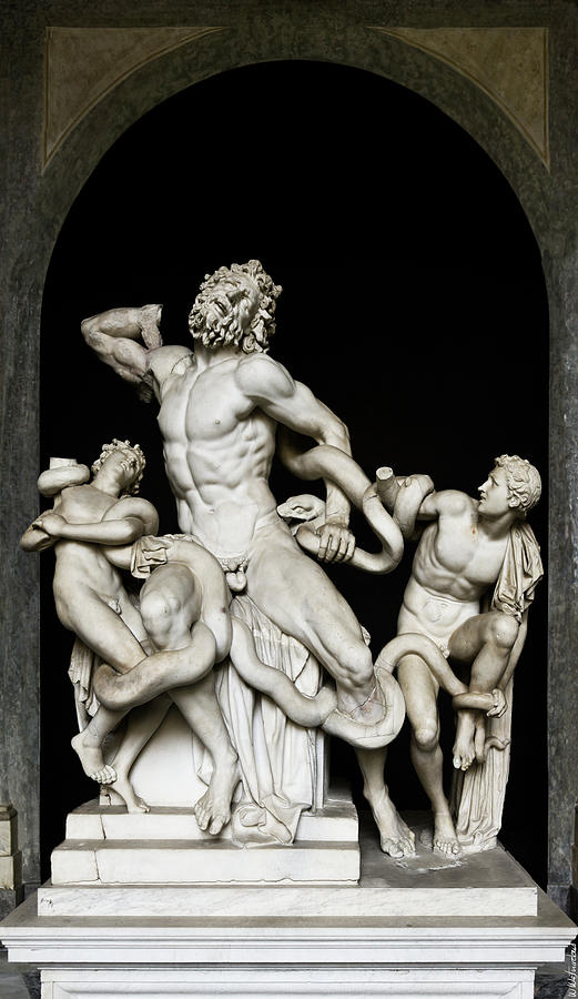 Laocoon and his Sons Photograph by Weston Westmoreland