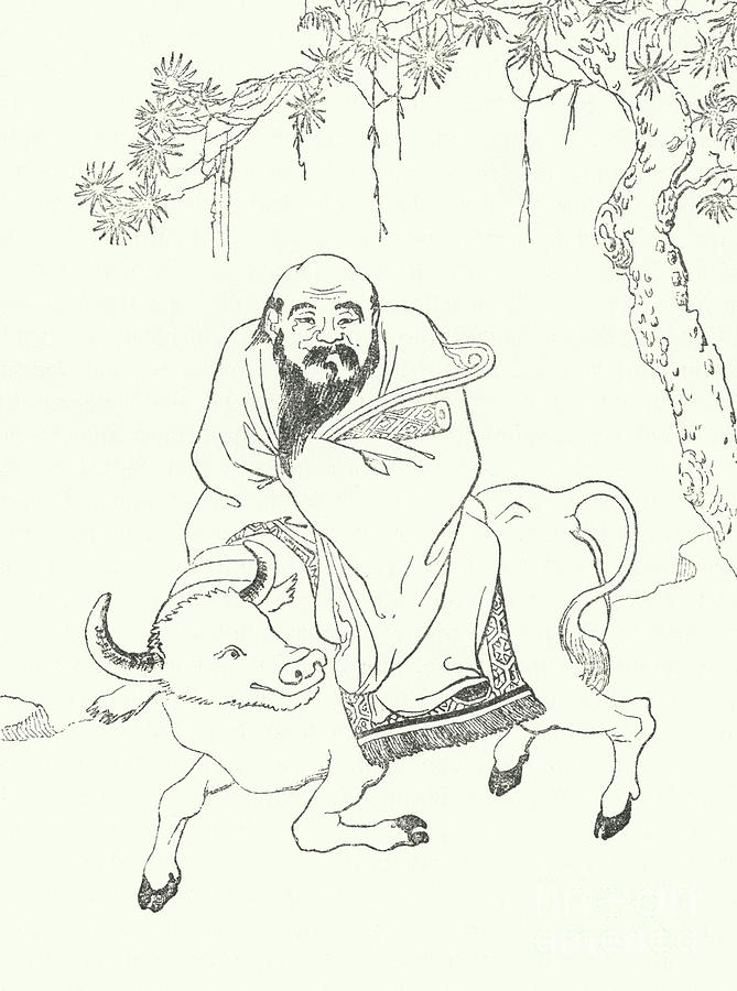 Laozi Drawing by German School