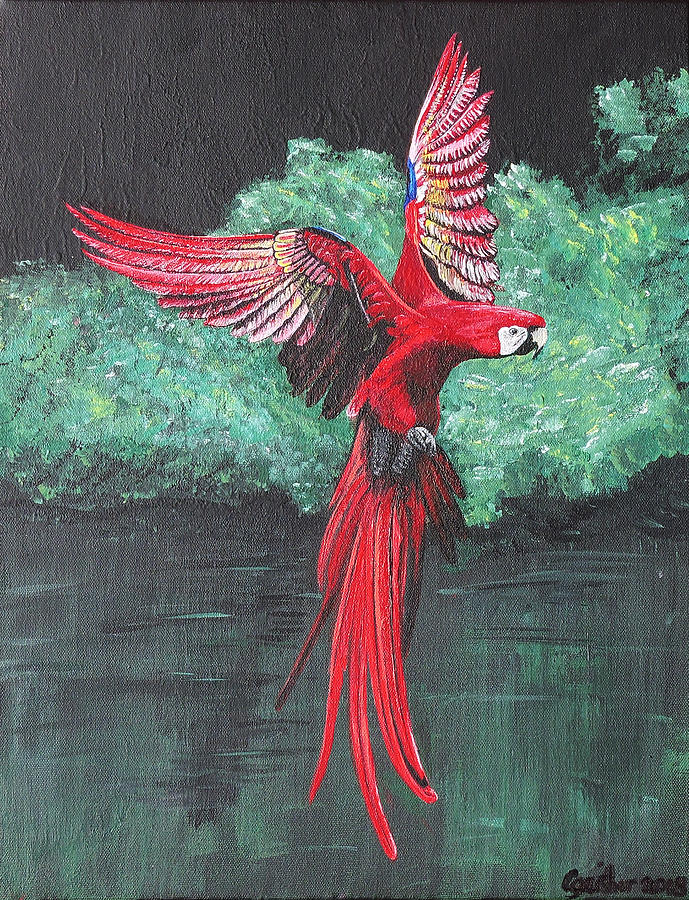 Macaw Painting - Lapa by Catherine Gaither