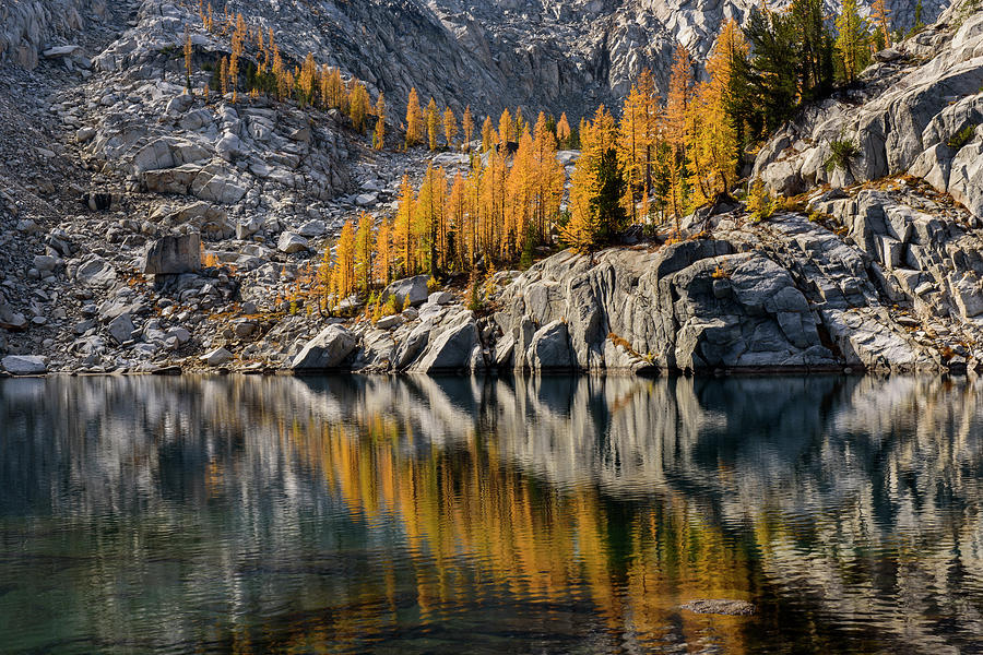 Larch reflection in Enchantments Digital Art by Michael Lee