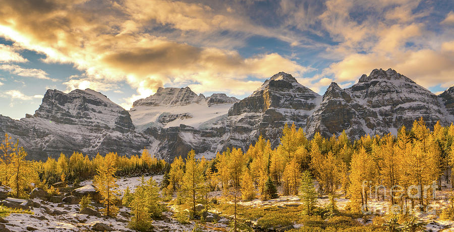 Larch Valley Golden Dawn Photograph by Mike Reid