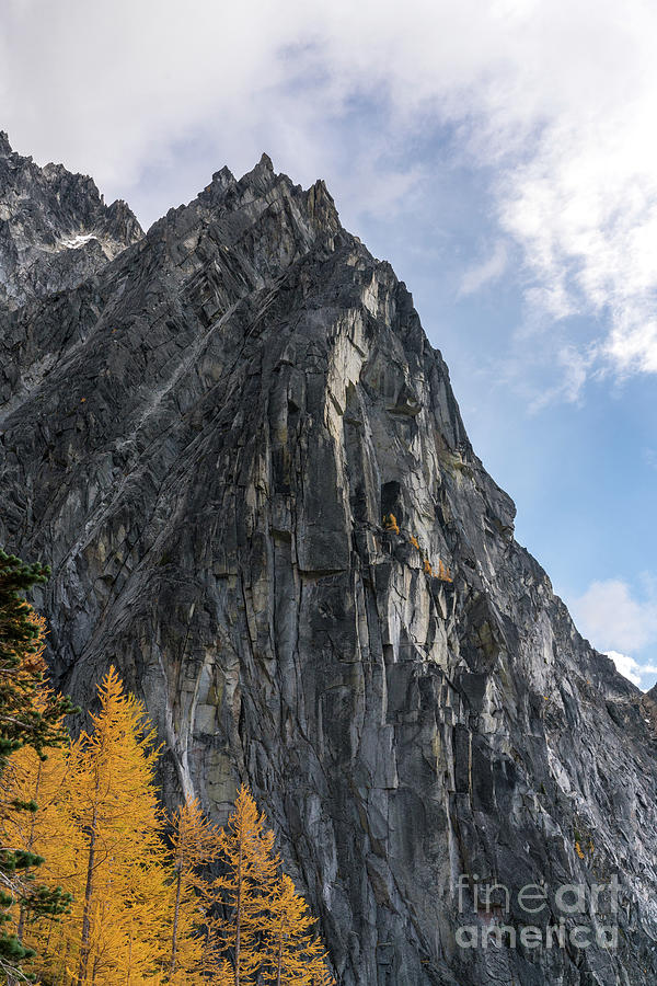 Fall Photograph - Larches and Granite by Mike Reid