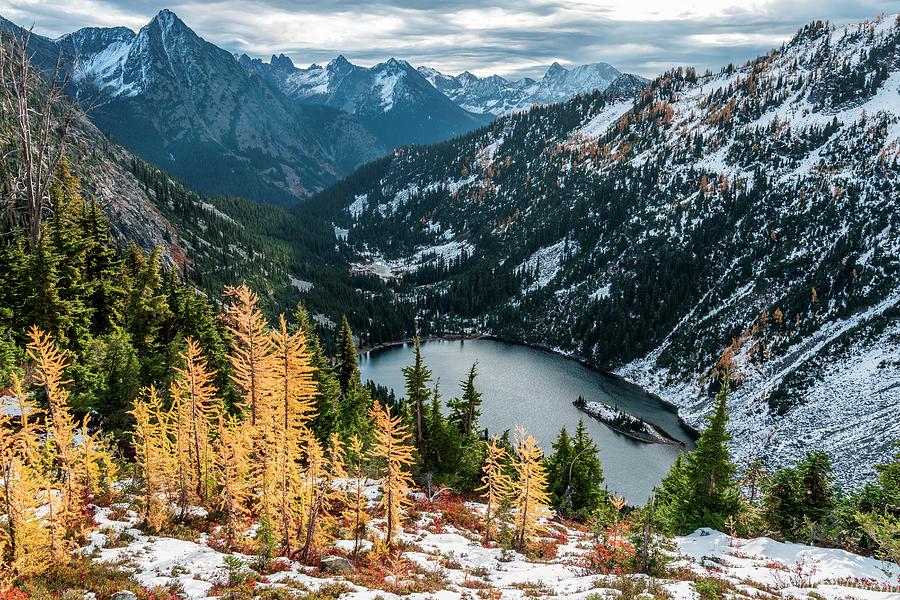 Larches at Lake Ann Photograph by Philip Cho