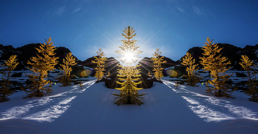 Fall Digital Art - Larches in Snow Reflection by Pelo Blanco Photo