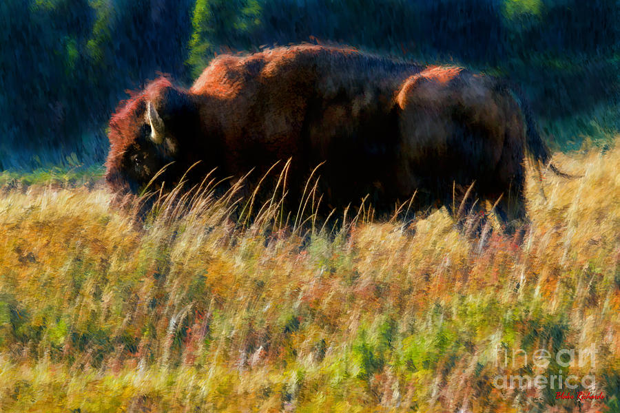 Large Bison Photograph by Blake Richards