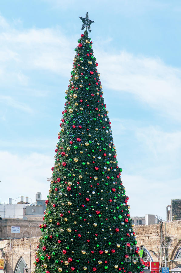 Large Christmas Tree in Jaffa Photograph by Ilan Rosen