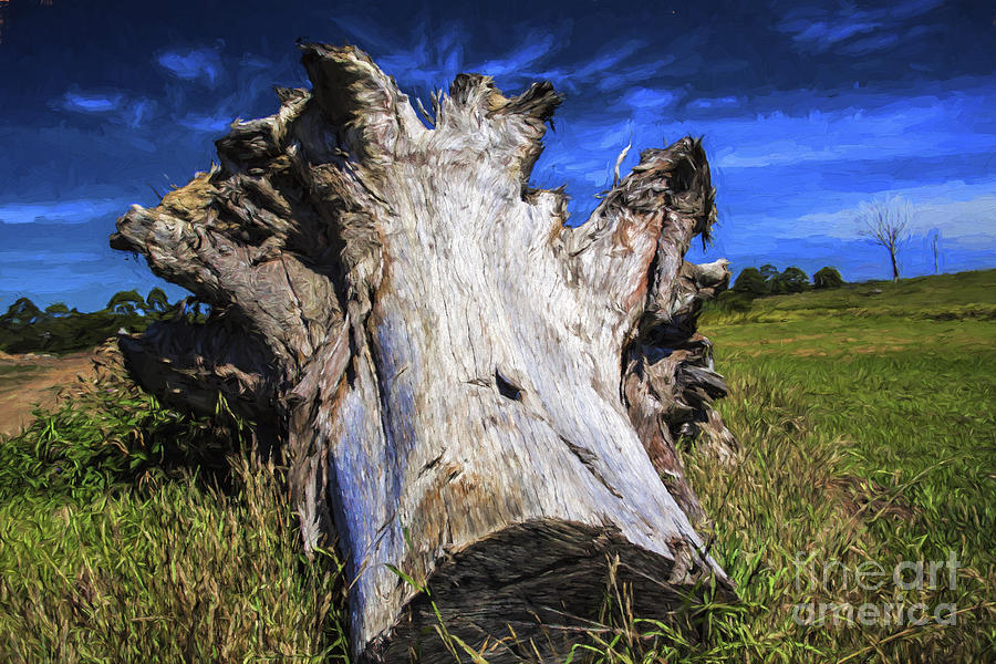 Large dead tree trunk Photograph by Sheila Smart Fine Art Photography