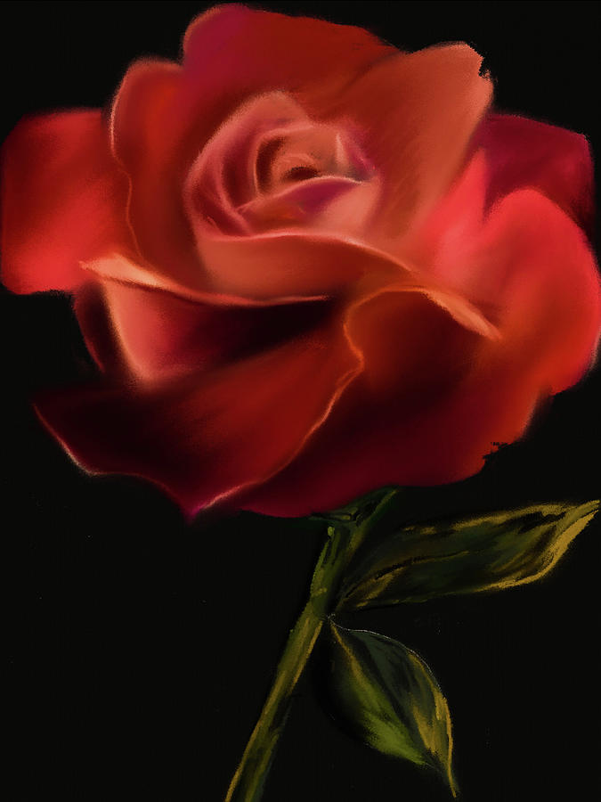 Floral Digital Art - Flame Red Rose by Michele Koutris