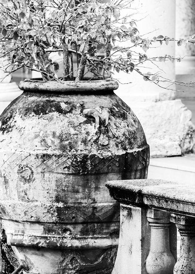 Large Flowerpot - black and white Photograph by Joni Eskridge