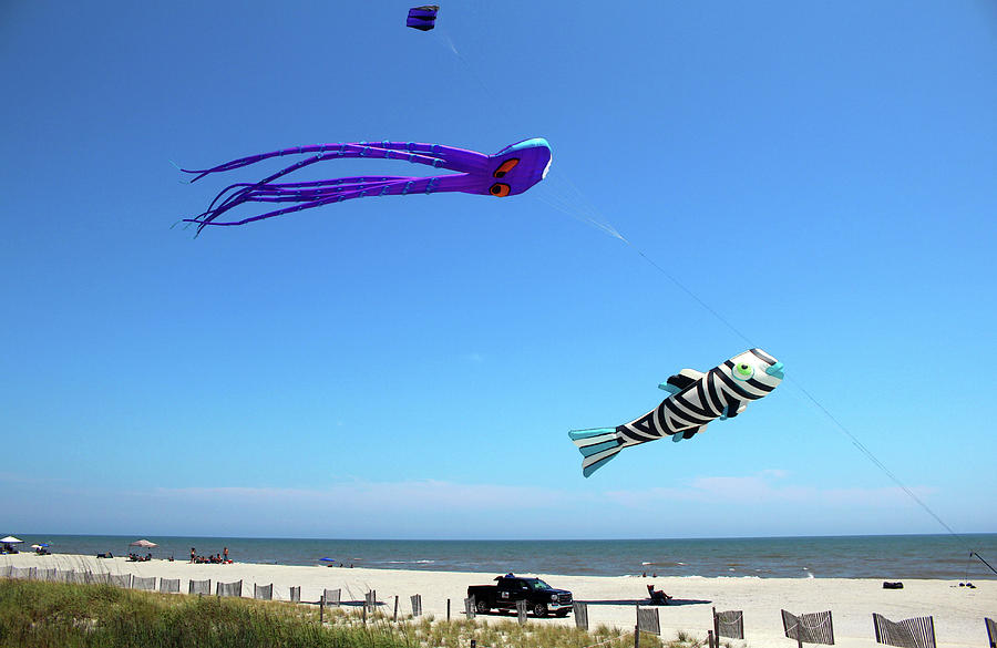 Large Kites Over The Beach Photograph by Cynthia Guinn
