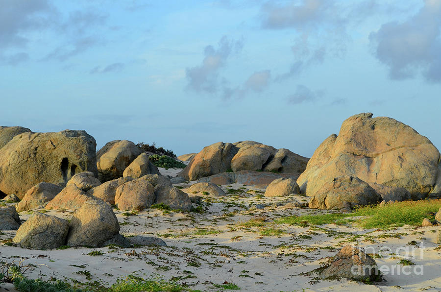 Large Limestone Rock Formations on the Sand in Aruba Photograph by DejaVu Designs