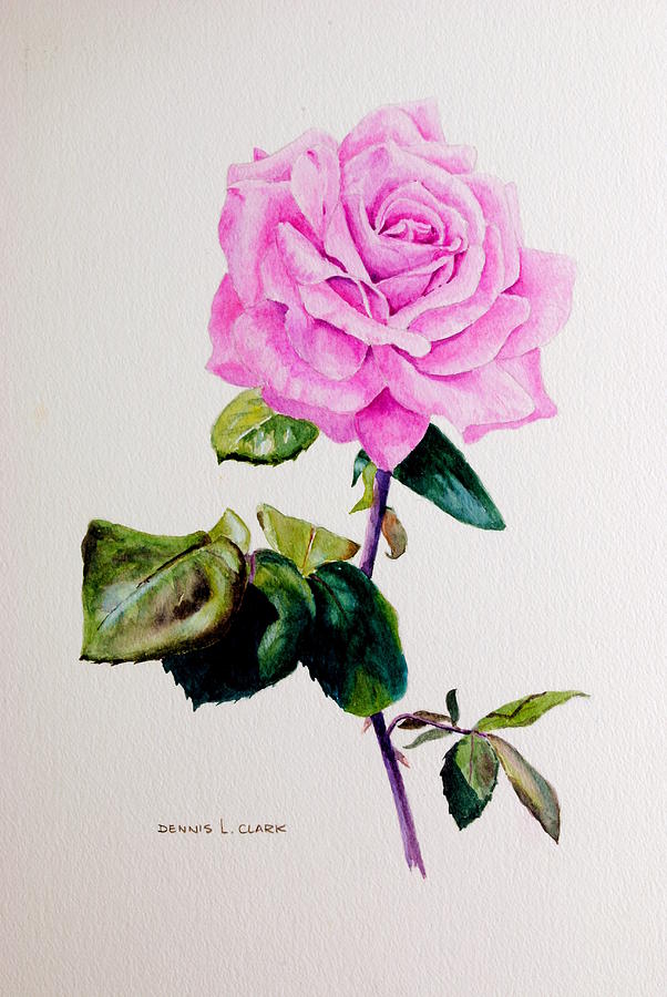 Rose Painting - Large Pink Rose by Dennis Clark