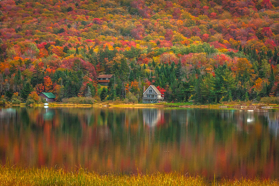 Large Pond in Vermont Photograph by Michael Carter