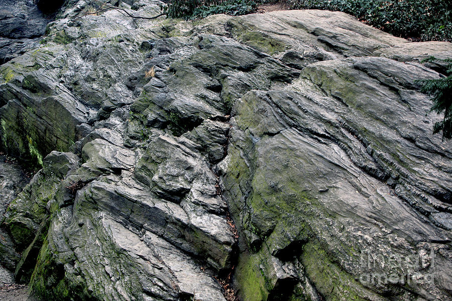 Large Rock at Central Park Photograph by Sandy Moulder